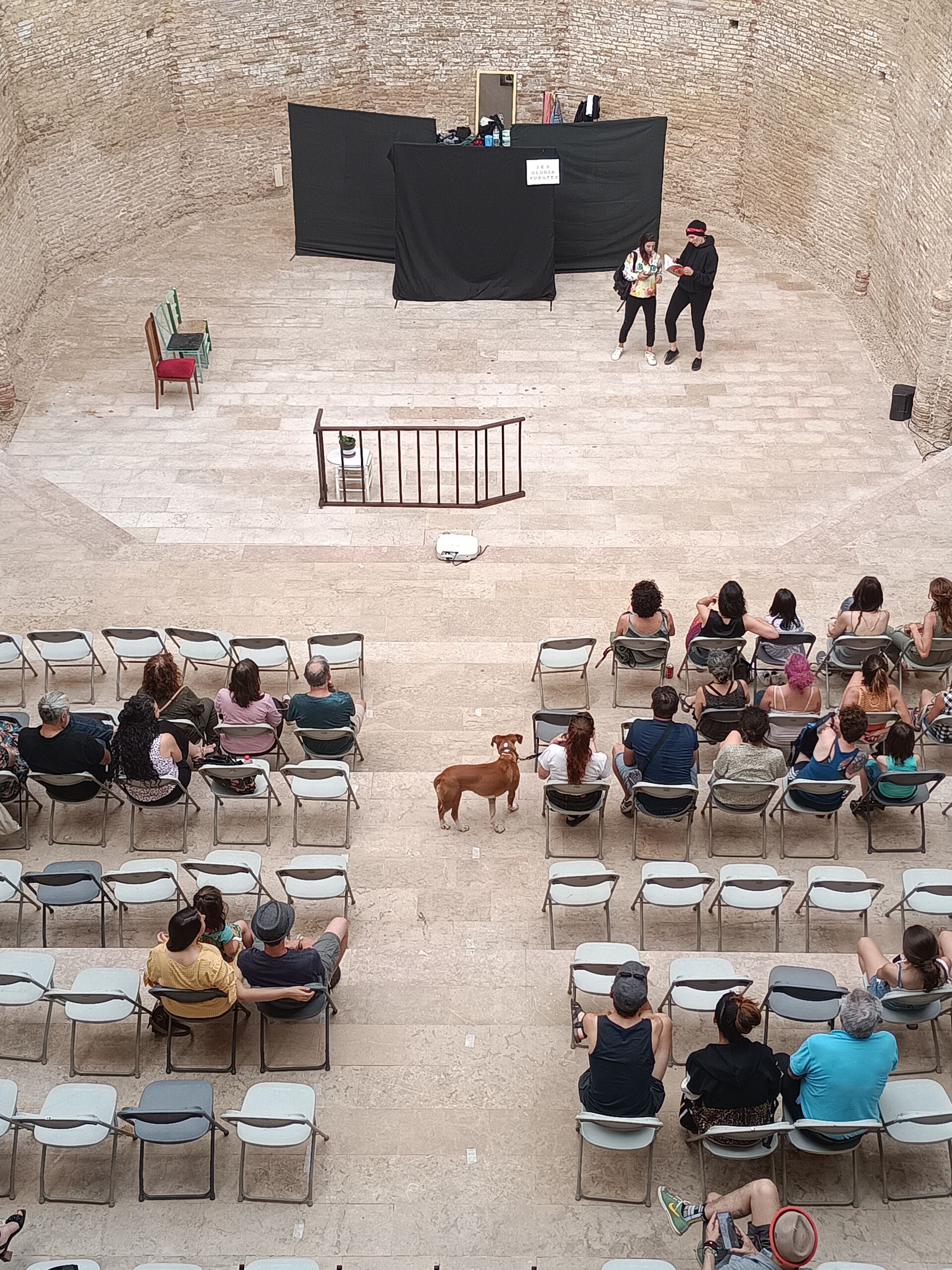 MAR Festival Magallón Teatro: Las Delirio